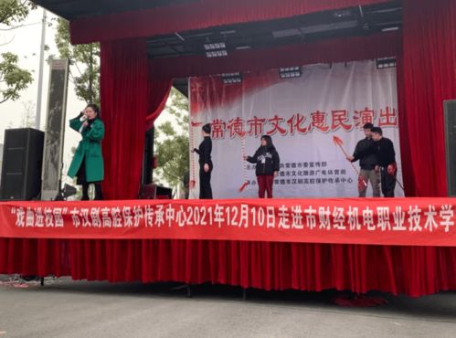 第二屆文化藝術節 非遺文化走進常德財經機電職業技術學院